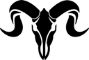 AURICLE's Ram skull logo